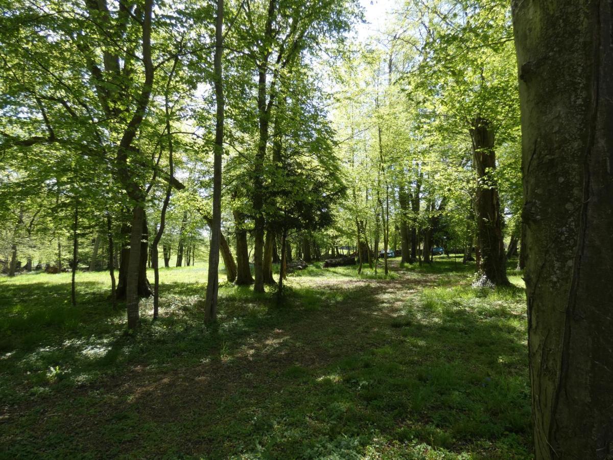Domaine De Chatenay - Le Mans Saint-Saturnin  Zewnętrze zdjęcie