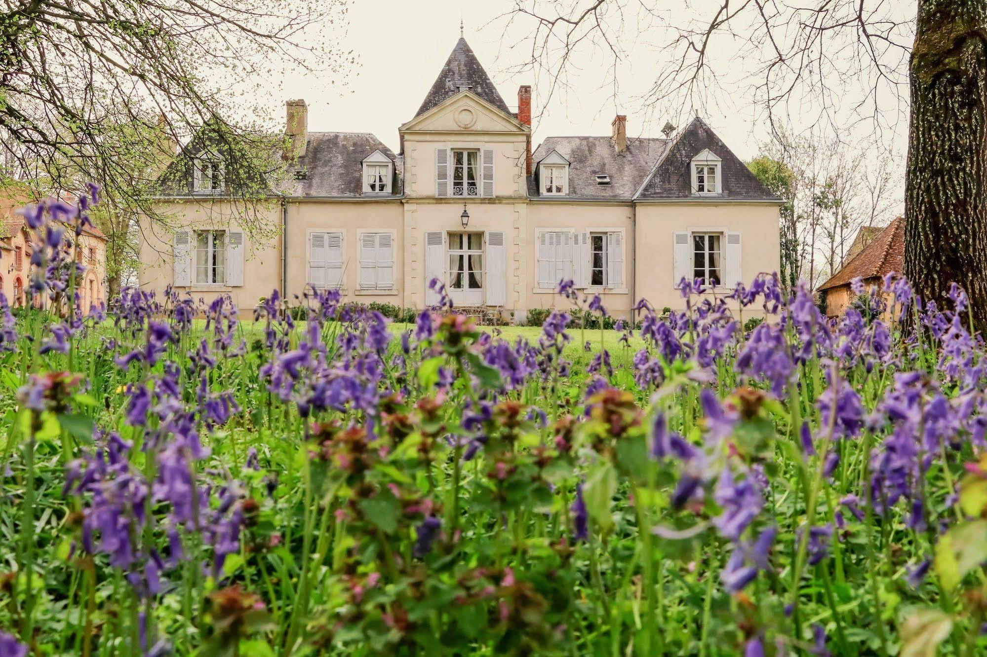 Domaine De Chatenay - Le Mans Saint-Saturnin  Zewnętrze zdjęcie